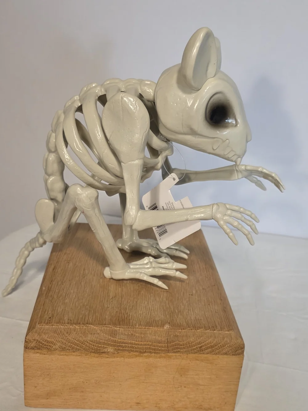 NEW Halloween Lot Of 3 Animal Skeleton Figures Decorations Dog Cat Rat Creepy
